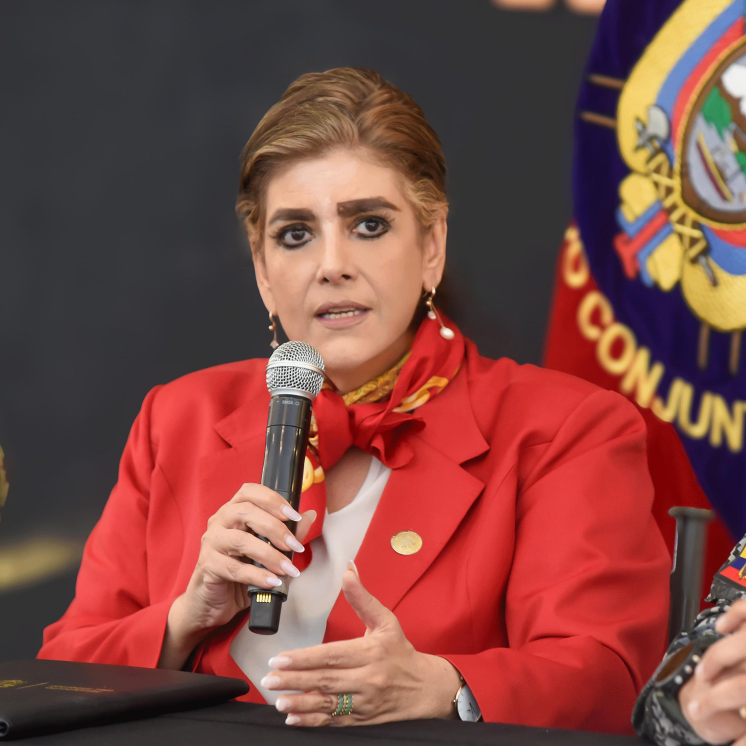 Ex Ministra del Interior y de Gobierno, Mónica Palencia.